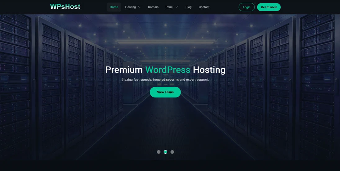 Hosting WordPress Theme